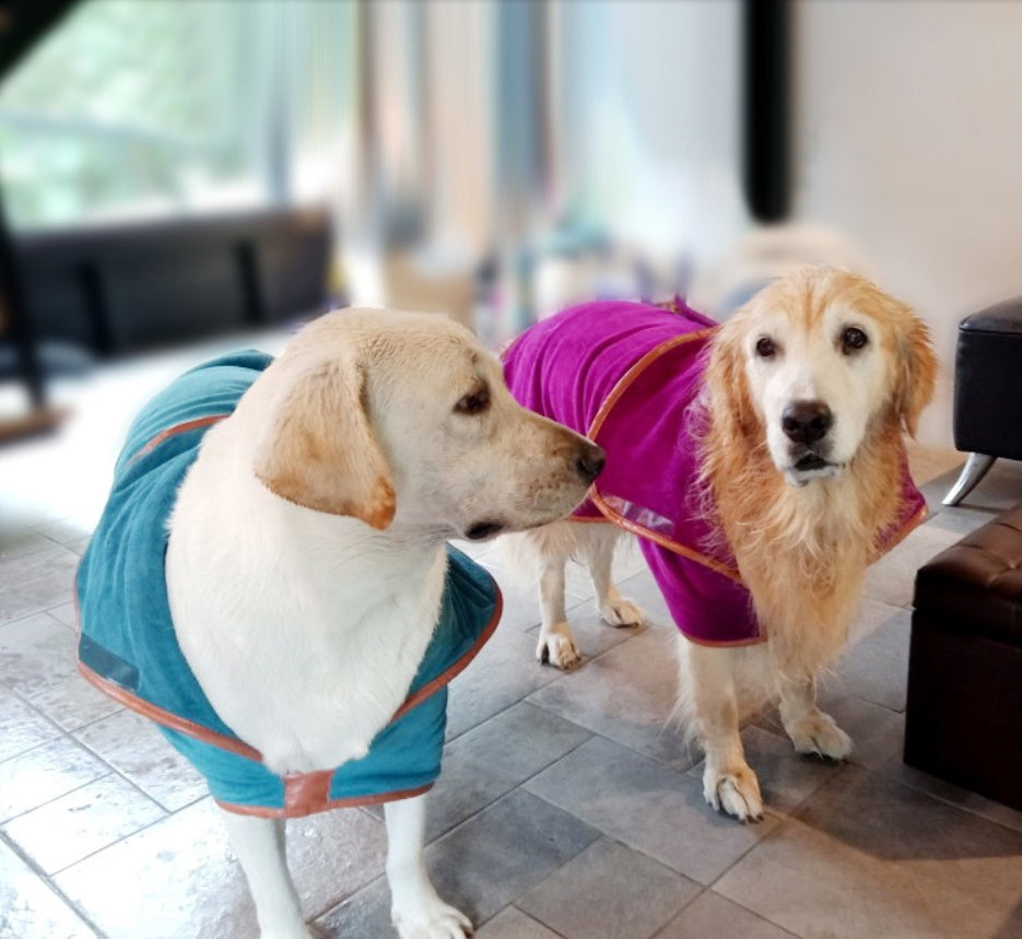 Pet Quick-Drying Absorbent Clothes Towel Bath Towel